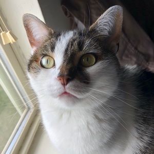 Meet your Posher, Jade